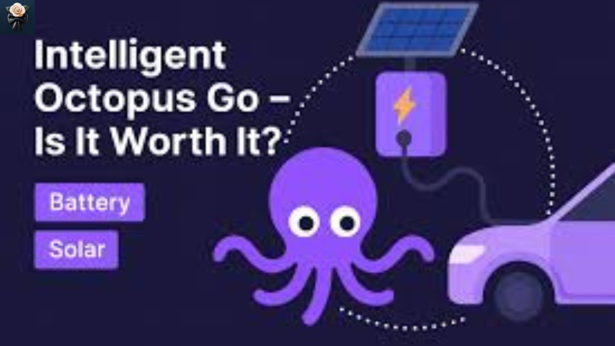intelligent octopus go