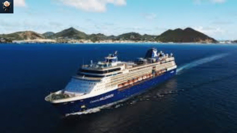 celebrity millennium